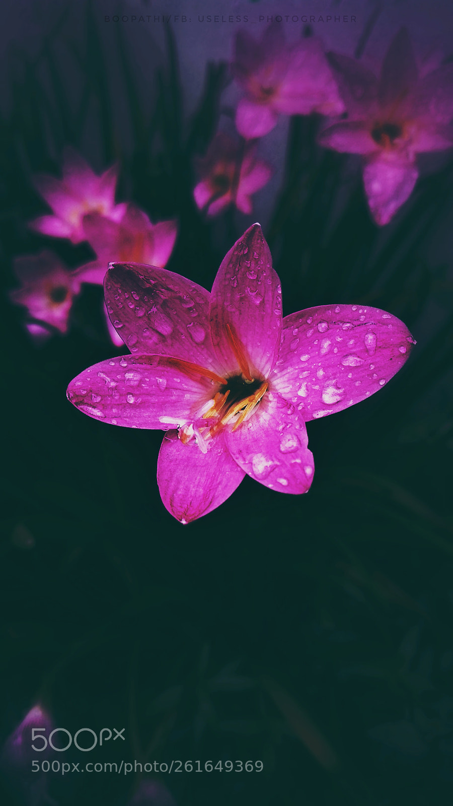 Xiaomi Mi A1 sample photo. Untitled photography
