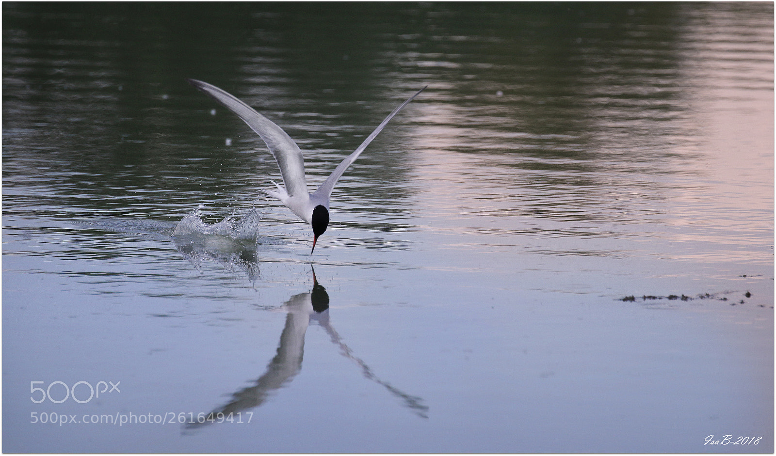 Canon EOS 70D sample photo. Img photography