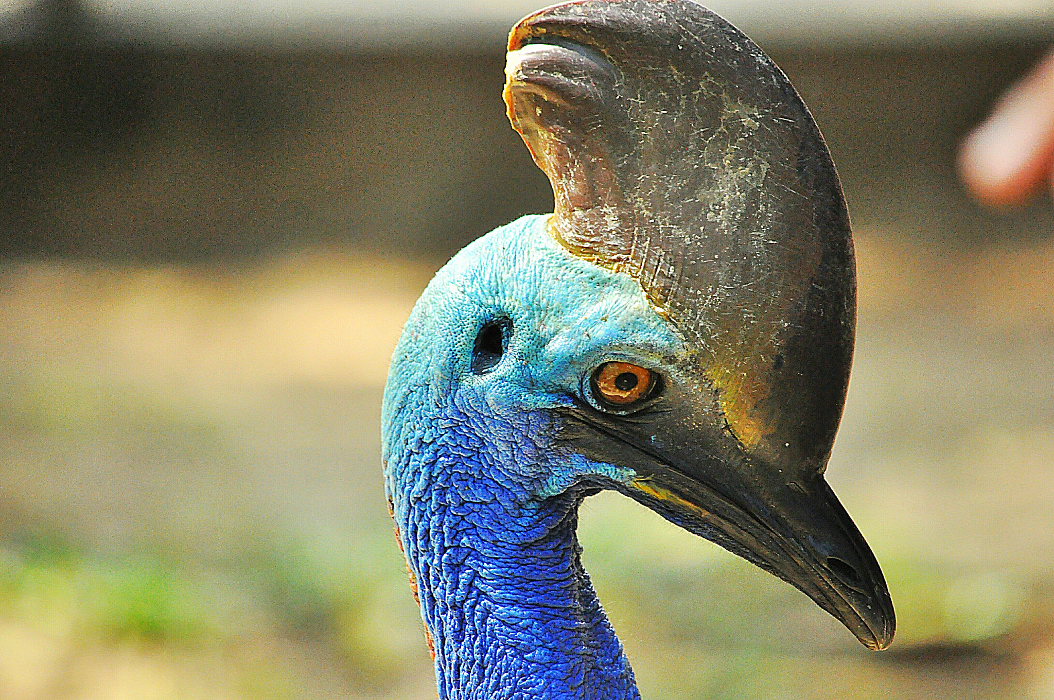 Nikon D90 sample photo. Gorgeous photography