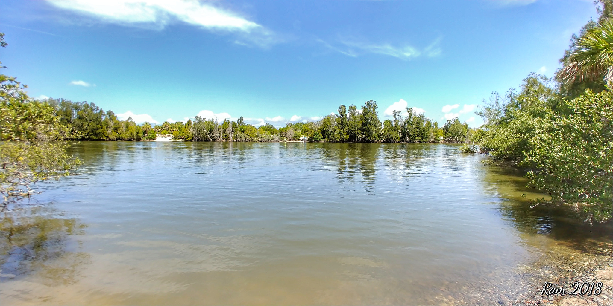 LG V30 sample photo. Manatee area photography