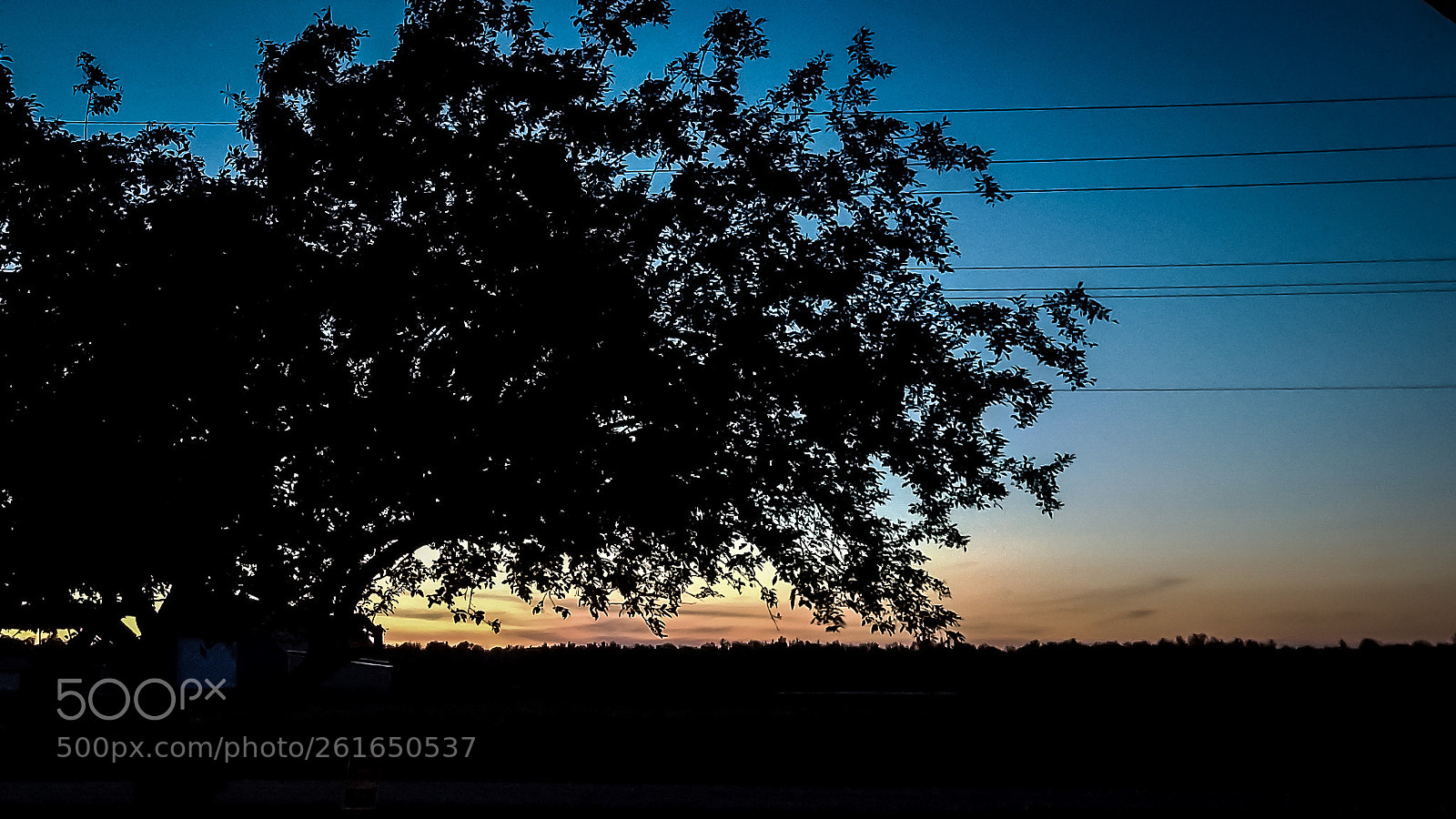Samsung Galaxy S8 sample photo. Blue silhouette photography