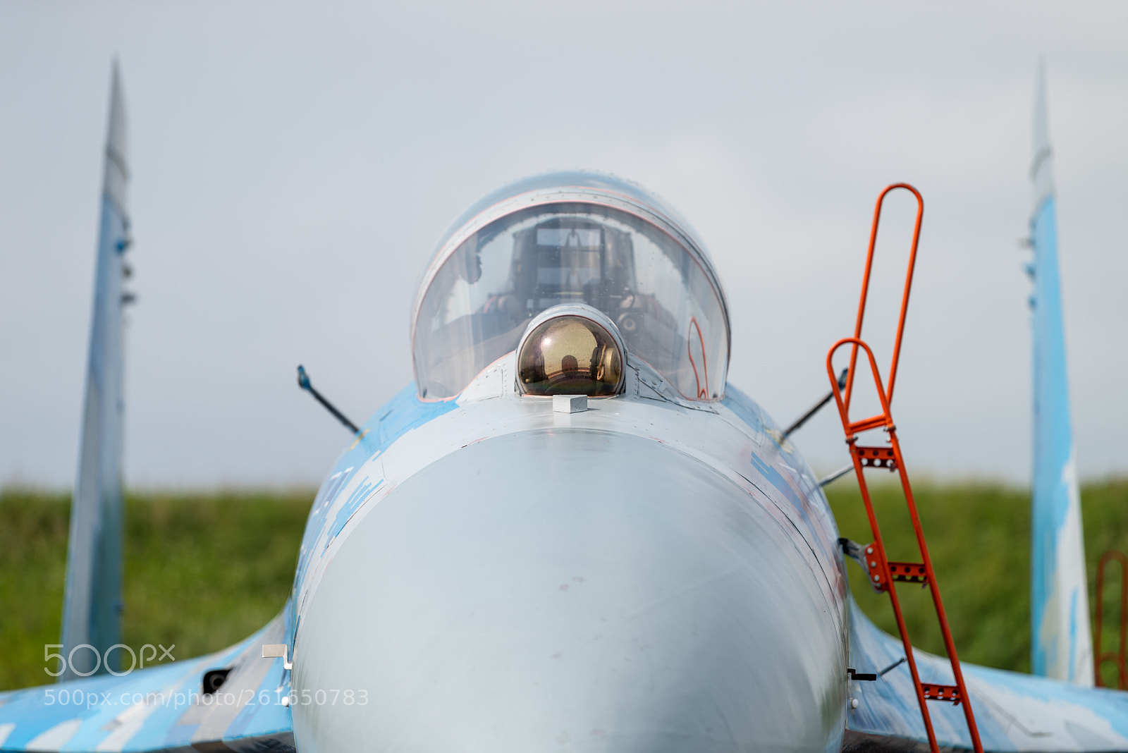 Nikon D810 sample photo. Nose photography
