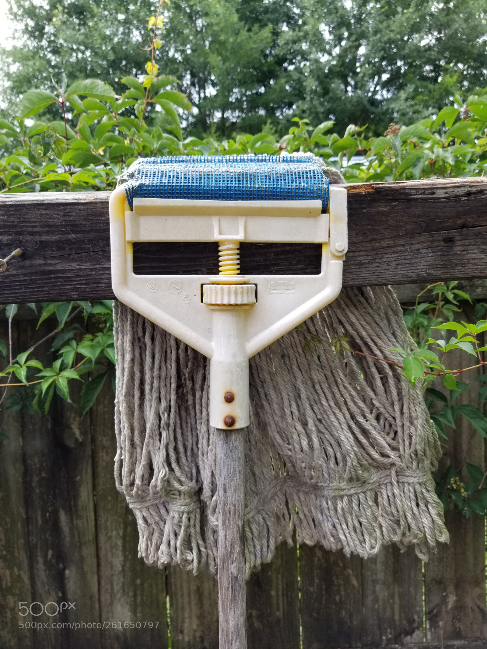 Samsung Galaxy S8+ sample photo. The chill mop photography