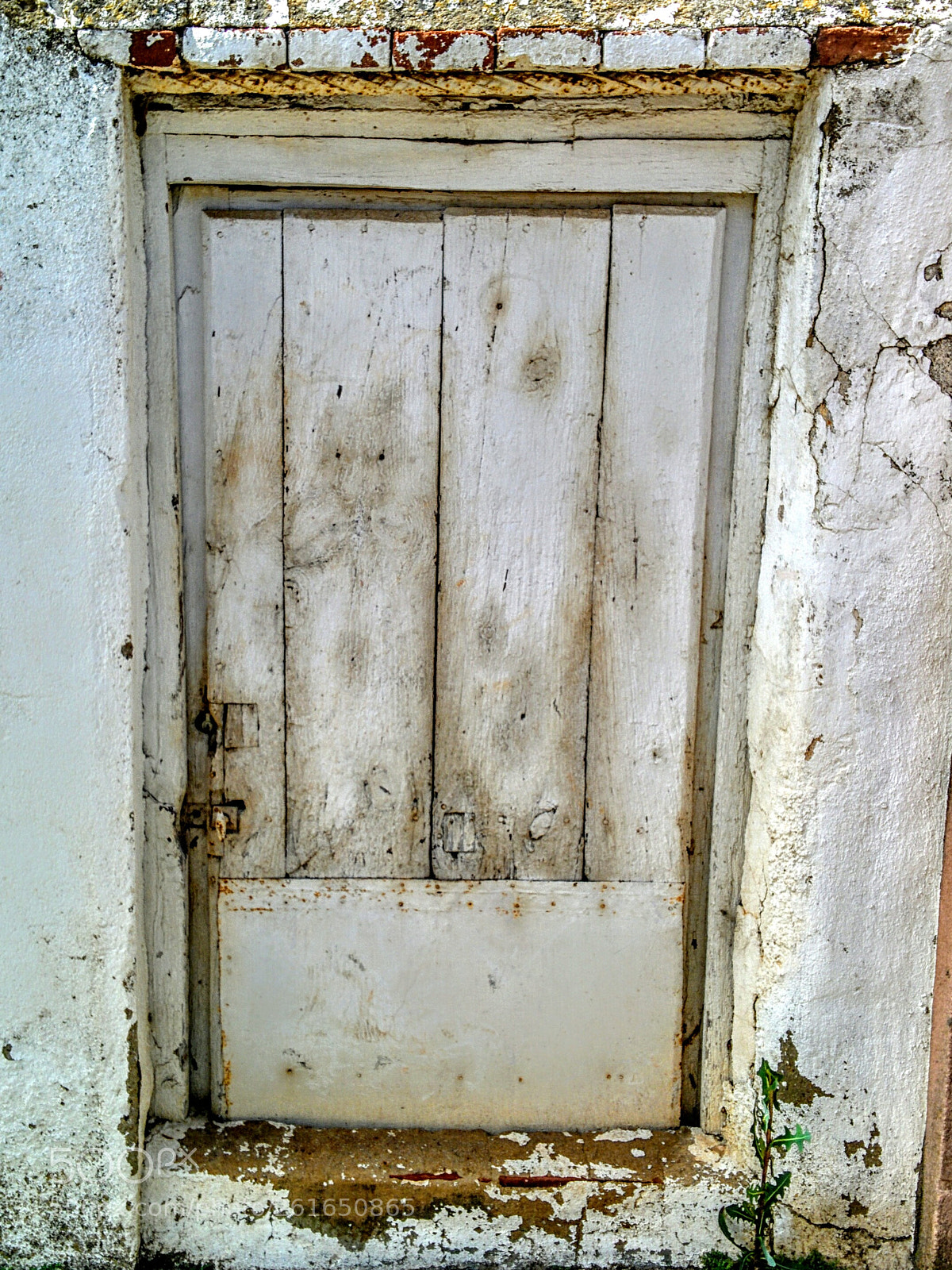 LG Nexus 5 sample photo. Old door photography