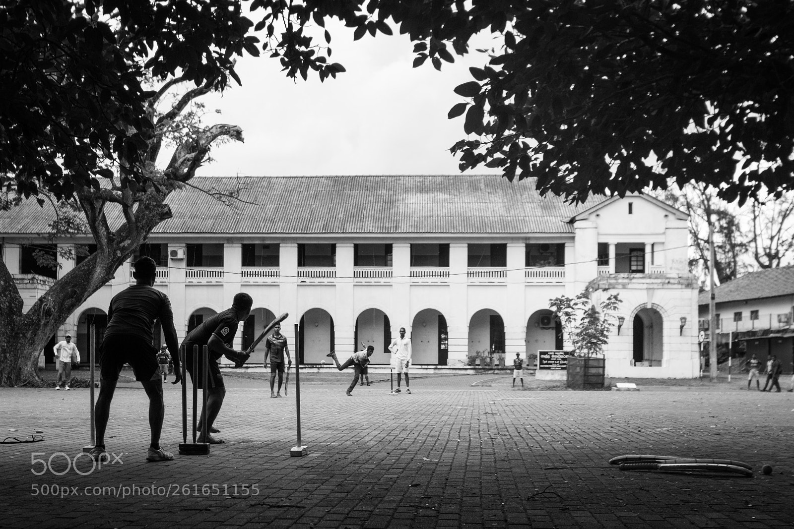Nikon D5300 sample photo. Casual cricket photography