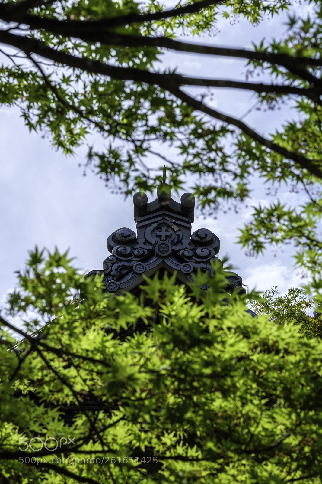 Fujifilm X-T2 sample photo. Japan-常寂光寺楓葉 photography