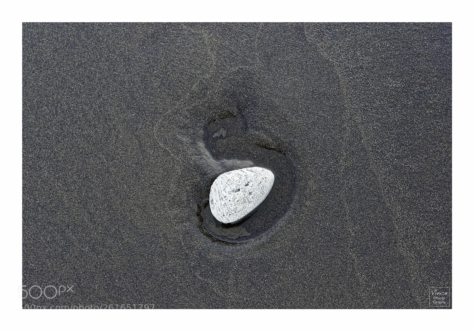 Nikon D800 sample photo. Sand duck photography