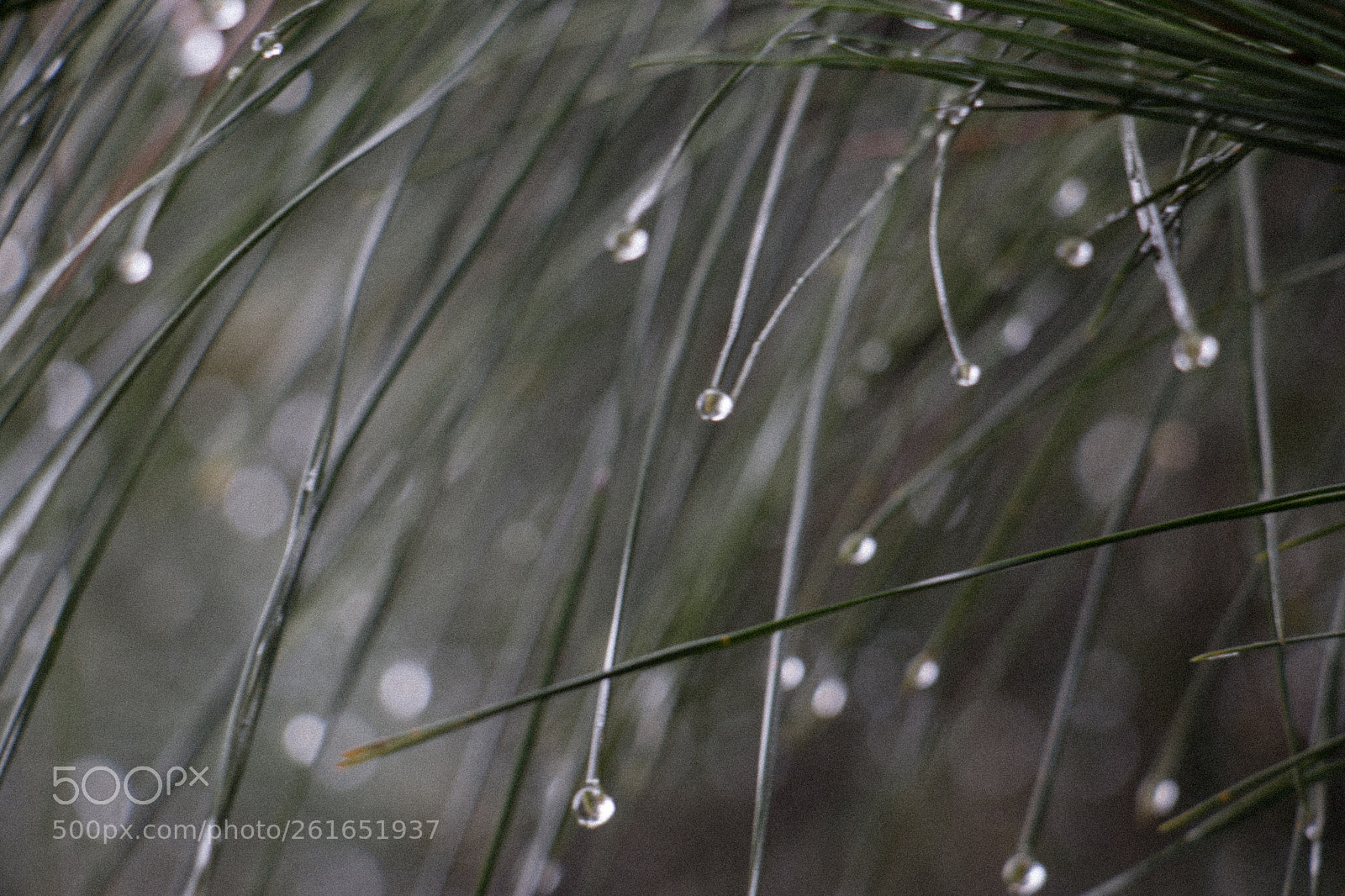 Canon EOS 70D sample photo. Untitled photography