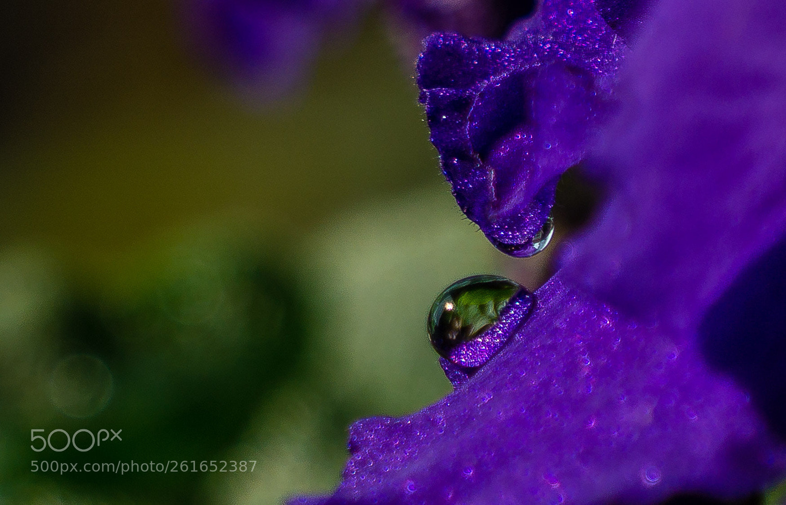 Sony a6000 sample photo. Damla photography