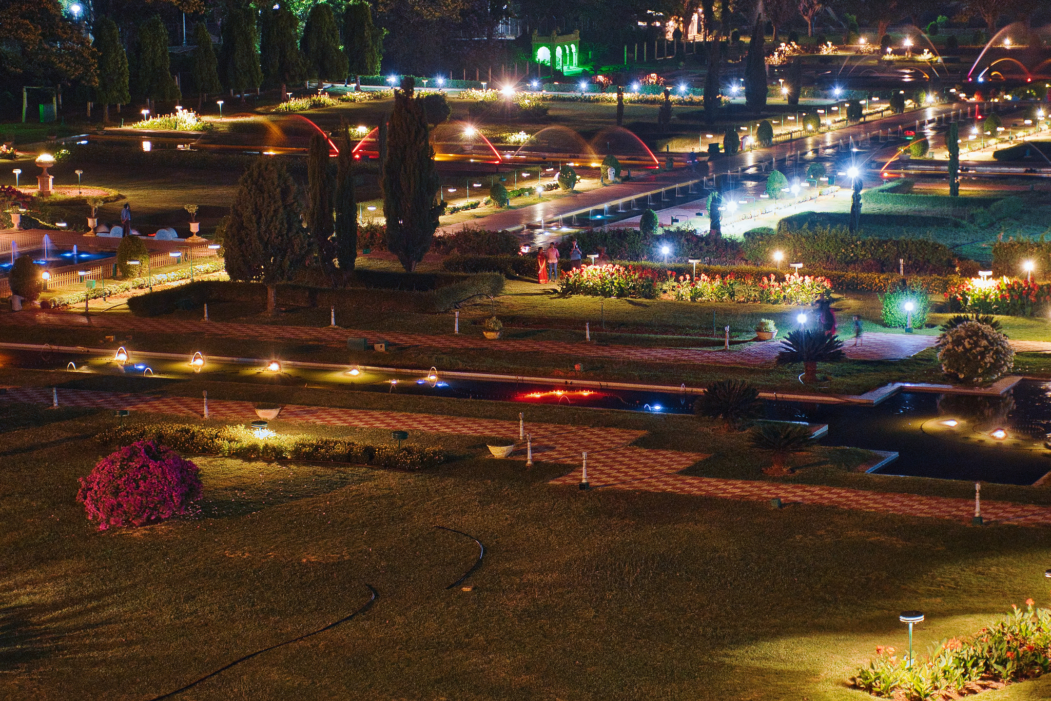 Nikon D5300 sample photo. Garden in night lights photography