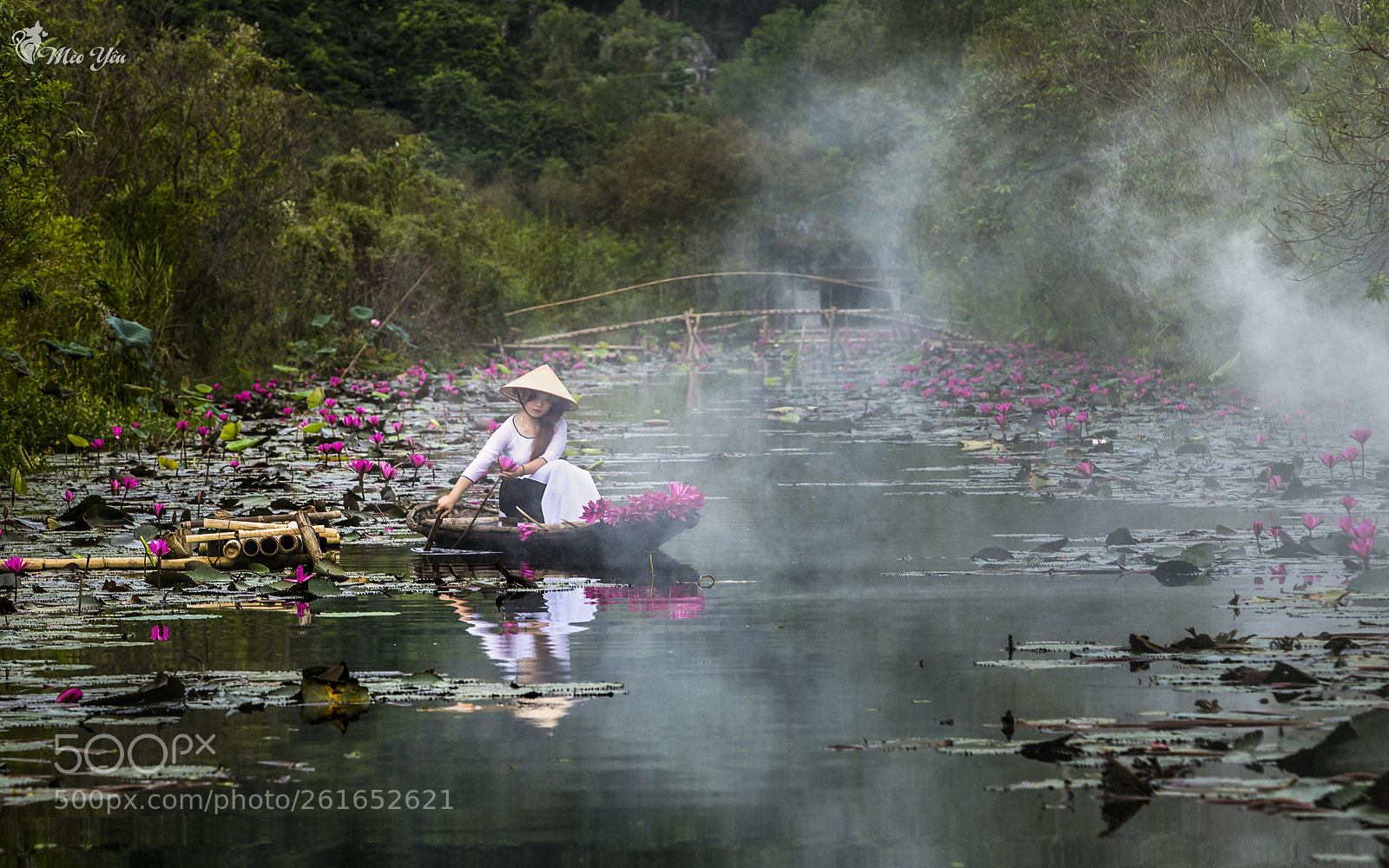 Canon EOS 6D sample photo. Girl picking lilies on photography