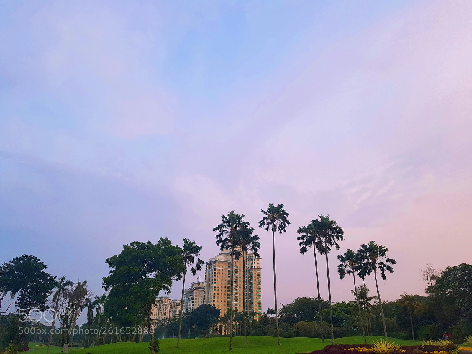 Samsung Galaxy S7 sample photo. Violet photography