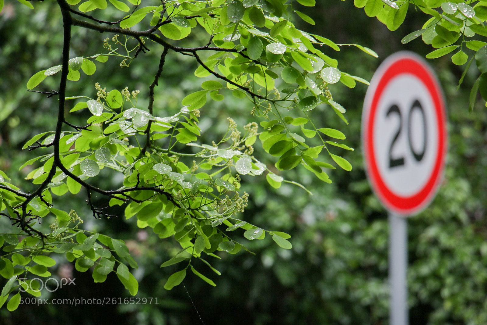 Canon EOS 70D sample photo. Untitled photography