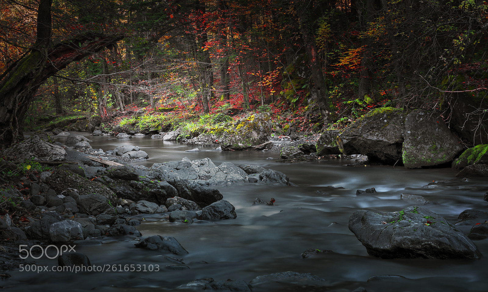 Nikon D610 sample photo. Mountain river photography