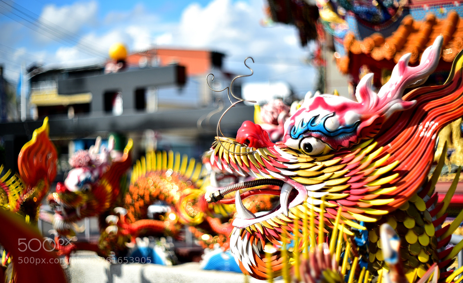 Nikon D750 sample photo. Dsc photography