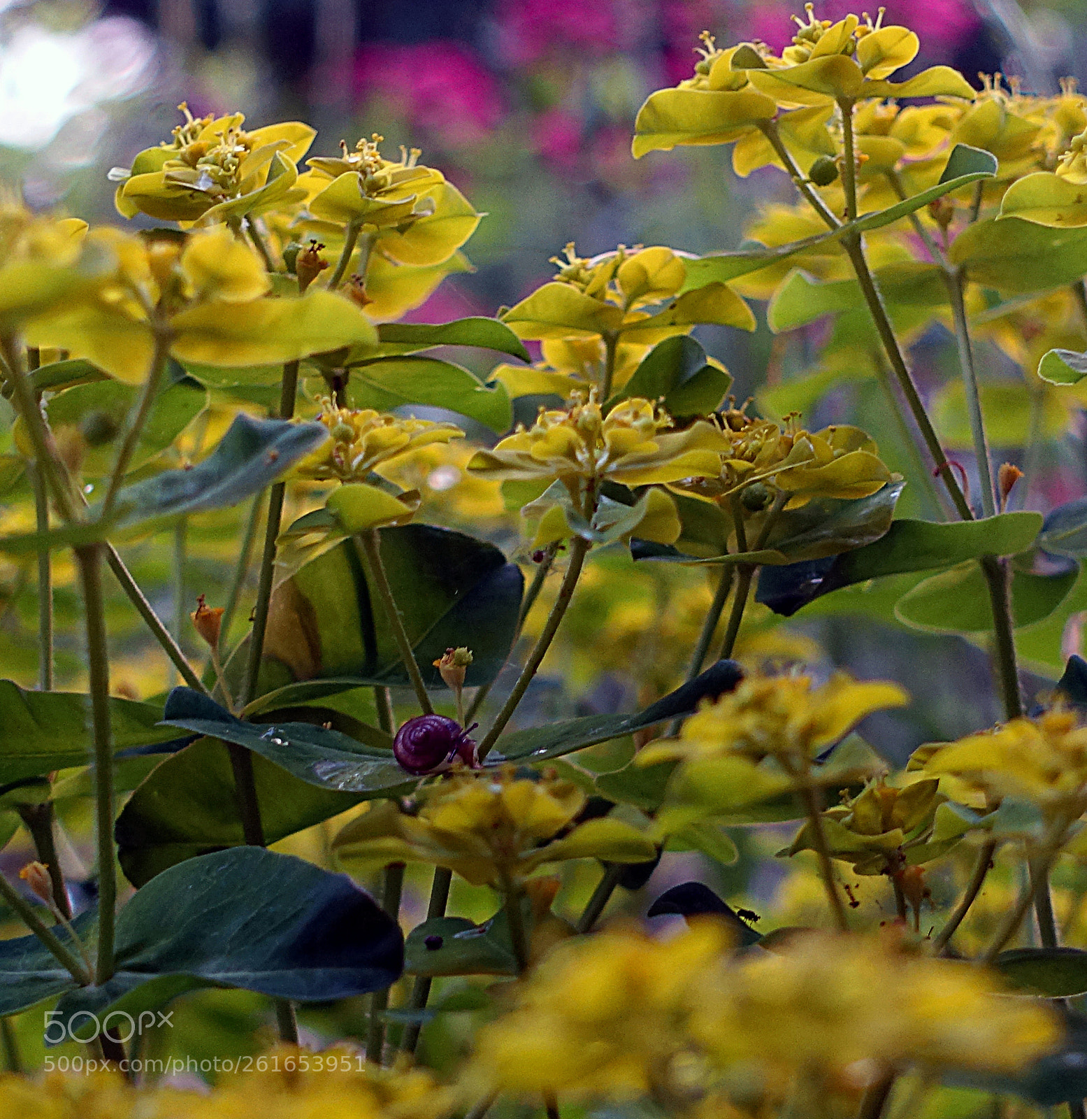 Sony Cyber-shot DSC-RX100 III sample photo. The tenant photography