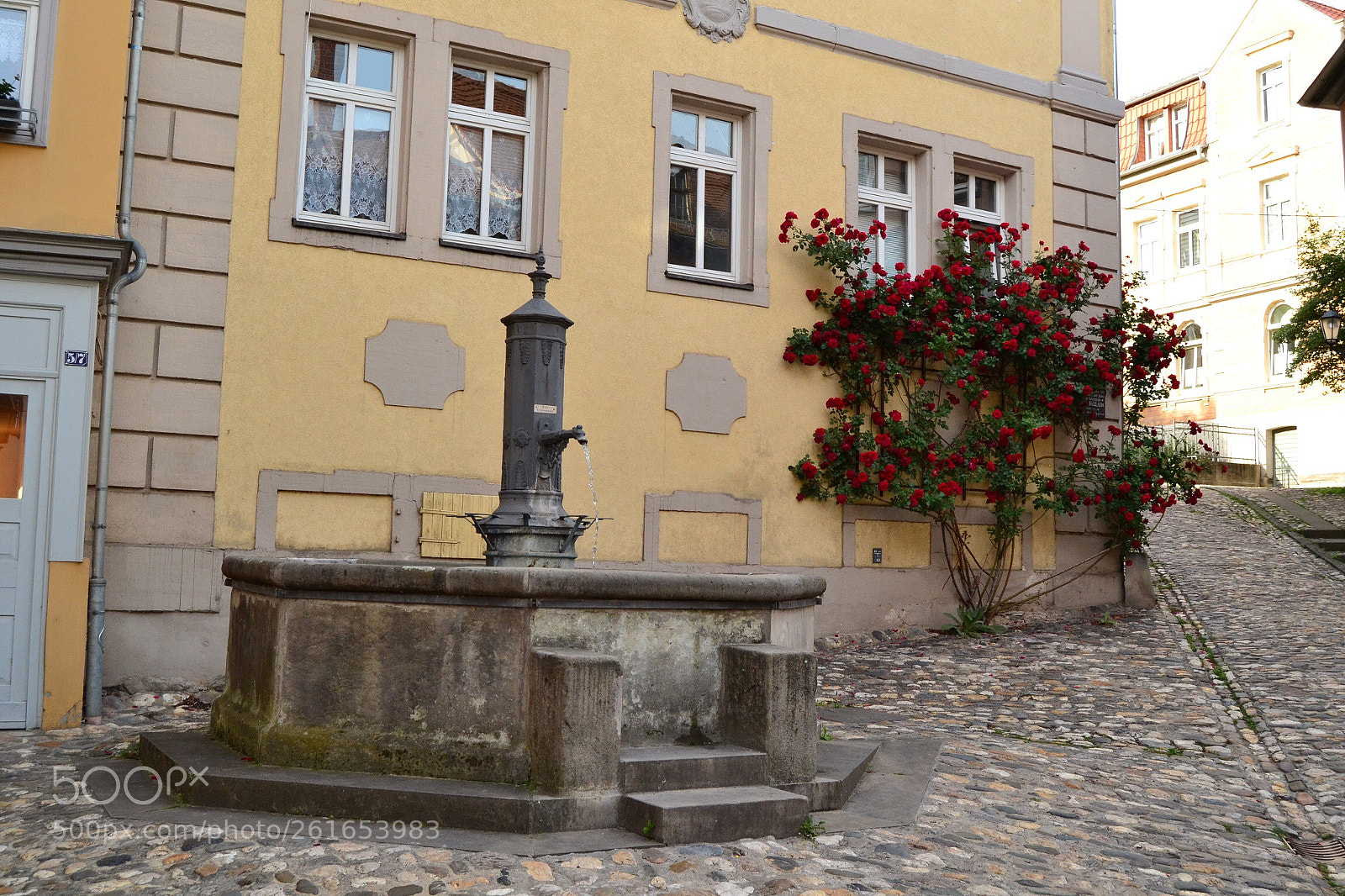 Nikon D3100 sample photo. Brunnen  photography