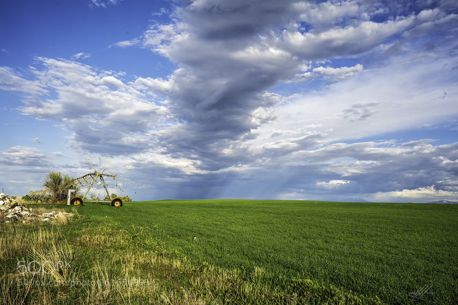 Sony a9 sample photo. Idaho hazelton farms photography