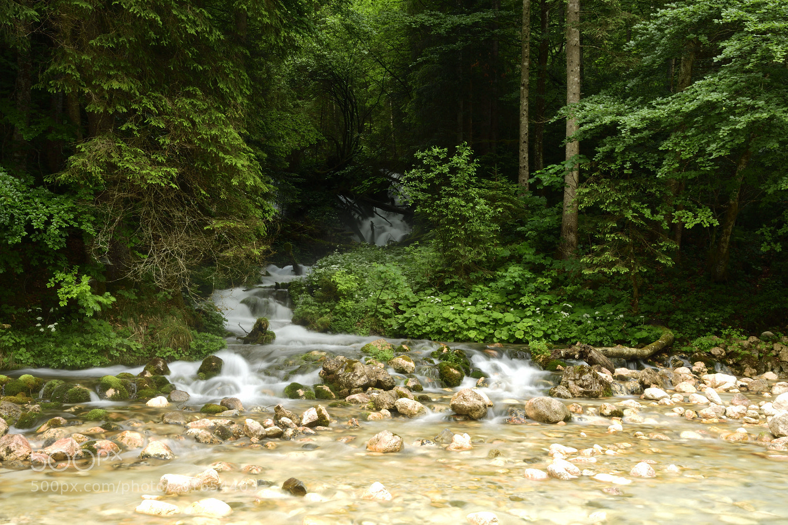 Nikon D7500 sample photo. Creek near hintersee photography