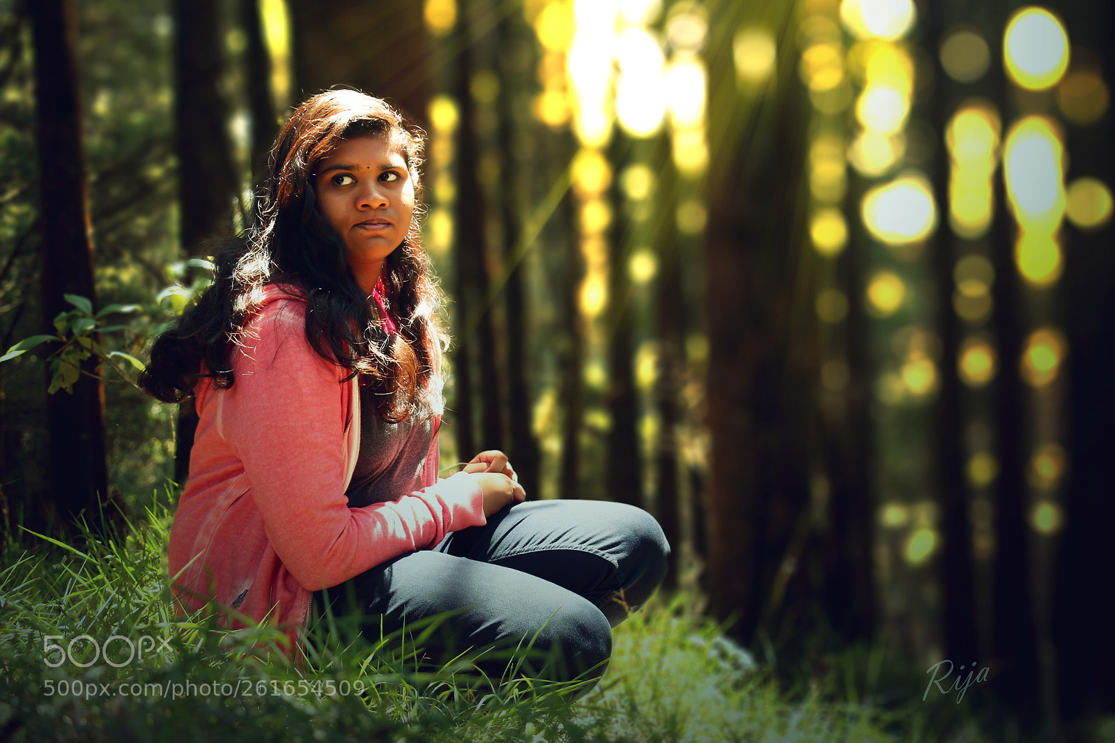 Canon EOS 70D sample photo. Sunny woods photography