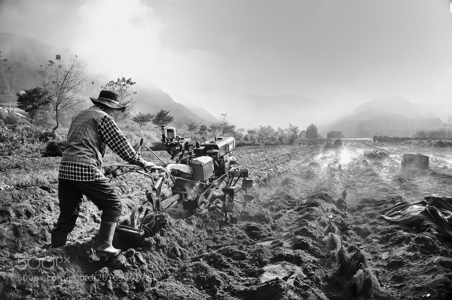 Sony Alpha NEX-6 sample photo. Farmers at dawn photography
