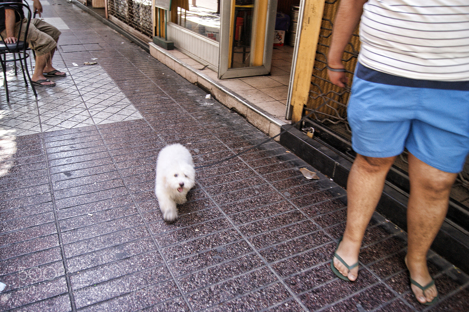 Sony Alpha DSLR-A290 sample photo. Santiago de chile photography