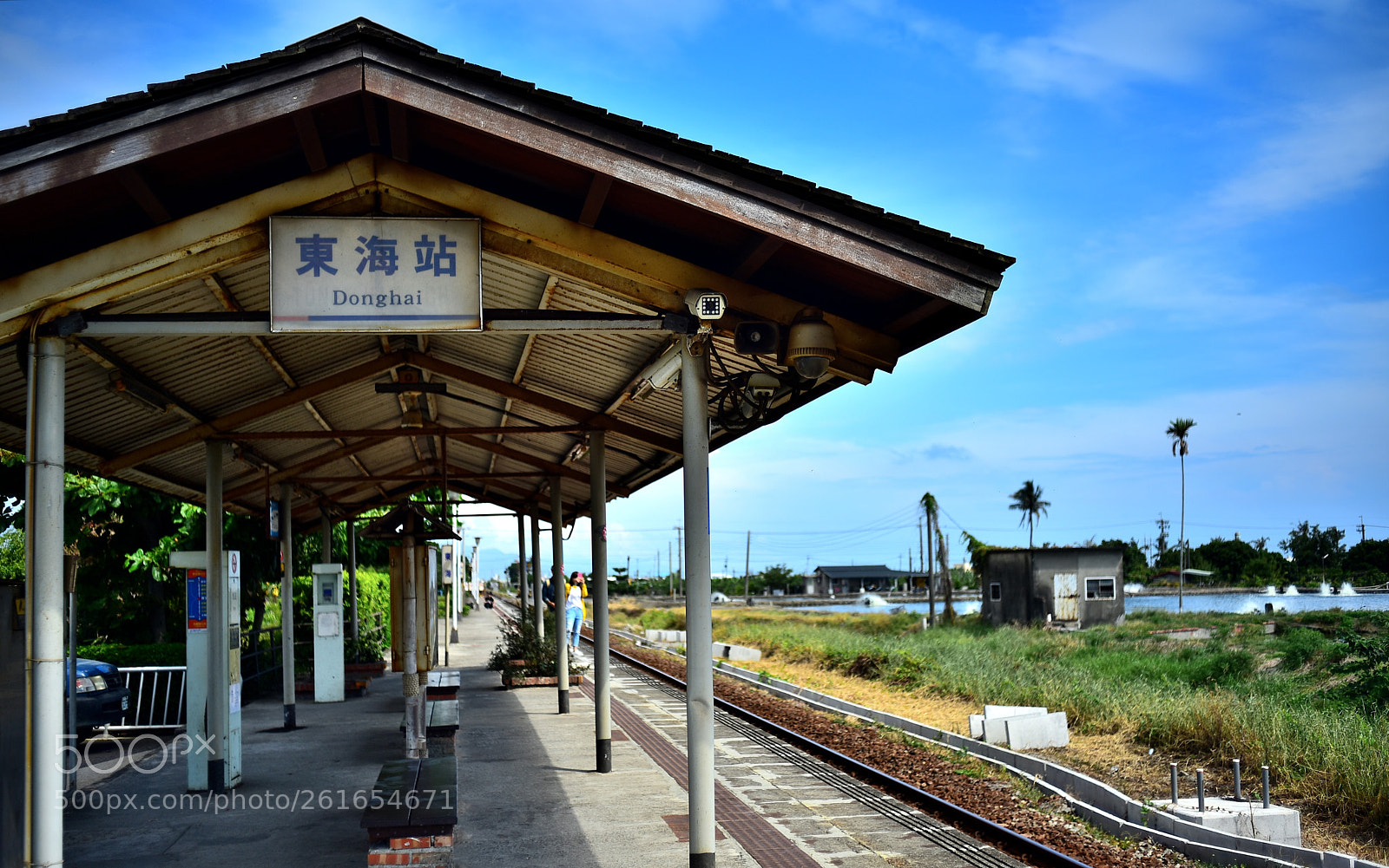 Nikon D750 sample photo. Dsc photography