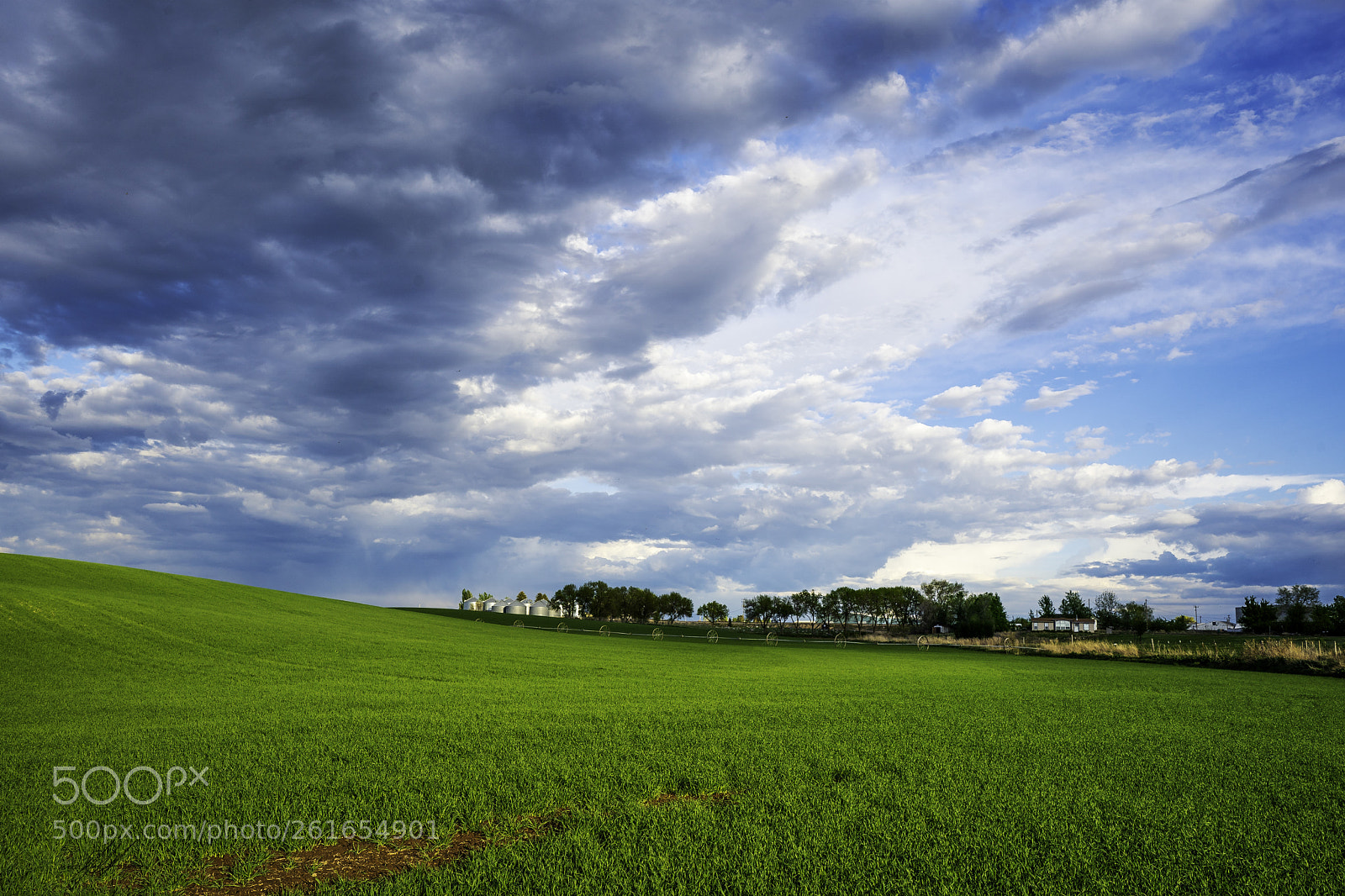 Sony a9 sample photo. Idaho hazelton farms photography