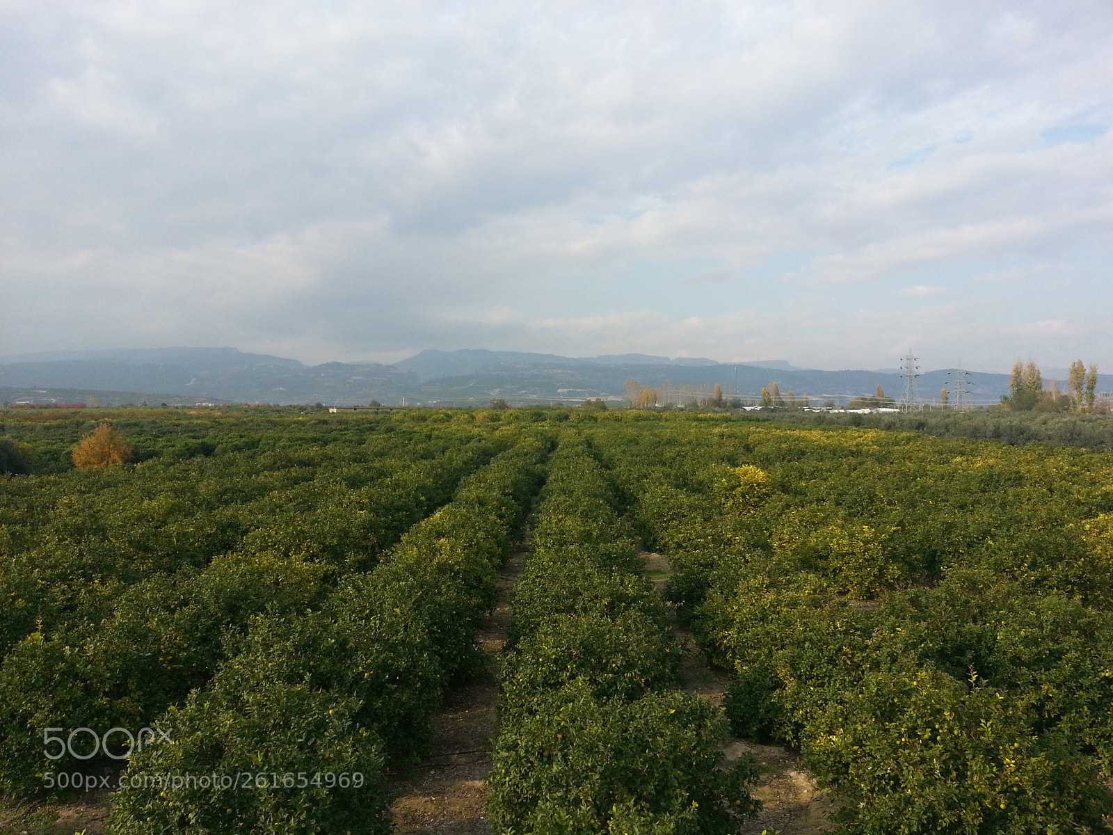 Samsung Galaxy S3 sample photo. 20171210_140904.jpg photography