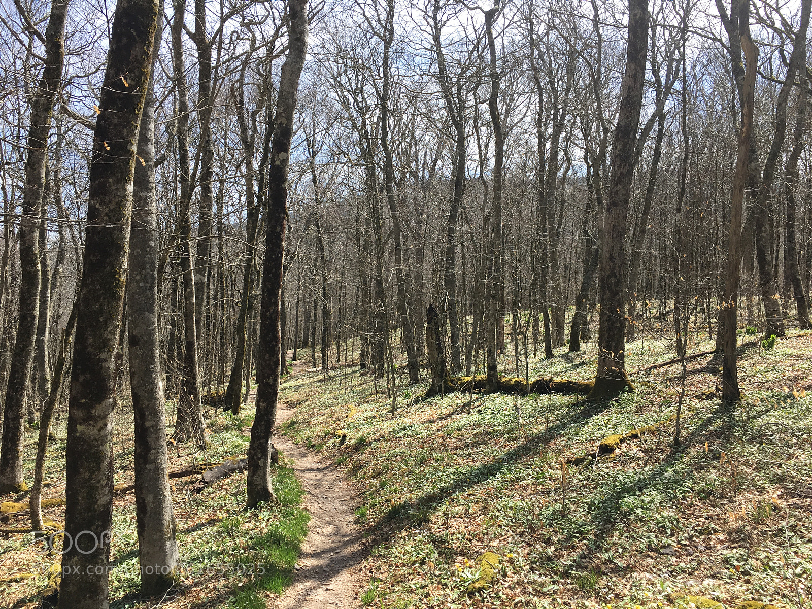 Apple iPhone 6s sample photo. Appalachian trail photography