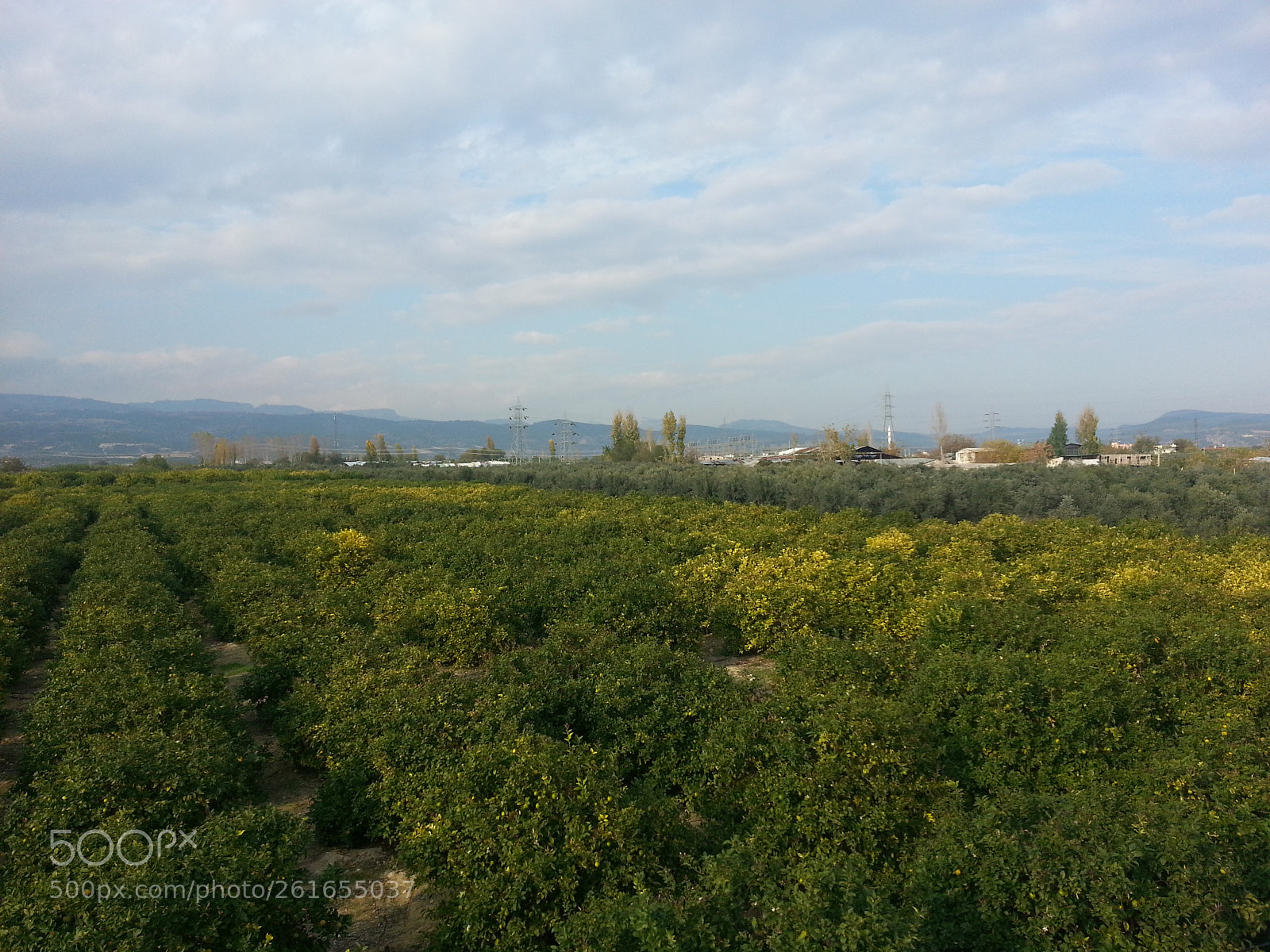 Samsung Galaxy S3 sample photo. 20171210_140920.jpg photography