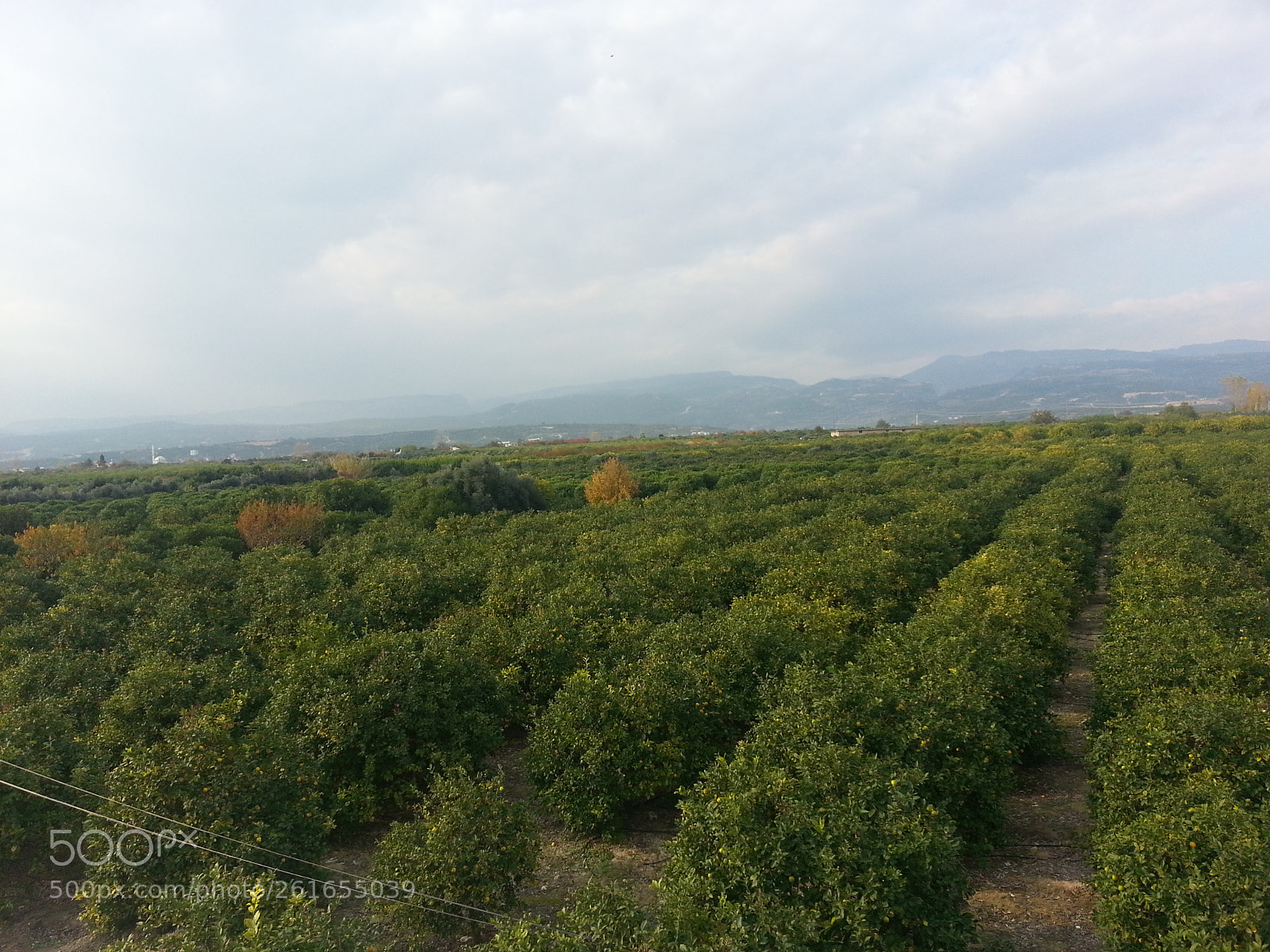 Samsung Galaxy S3 sample photo. 20171210_140933.jpg photography