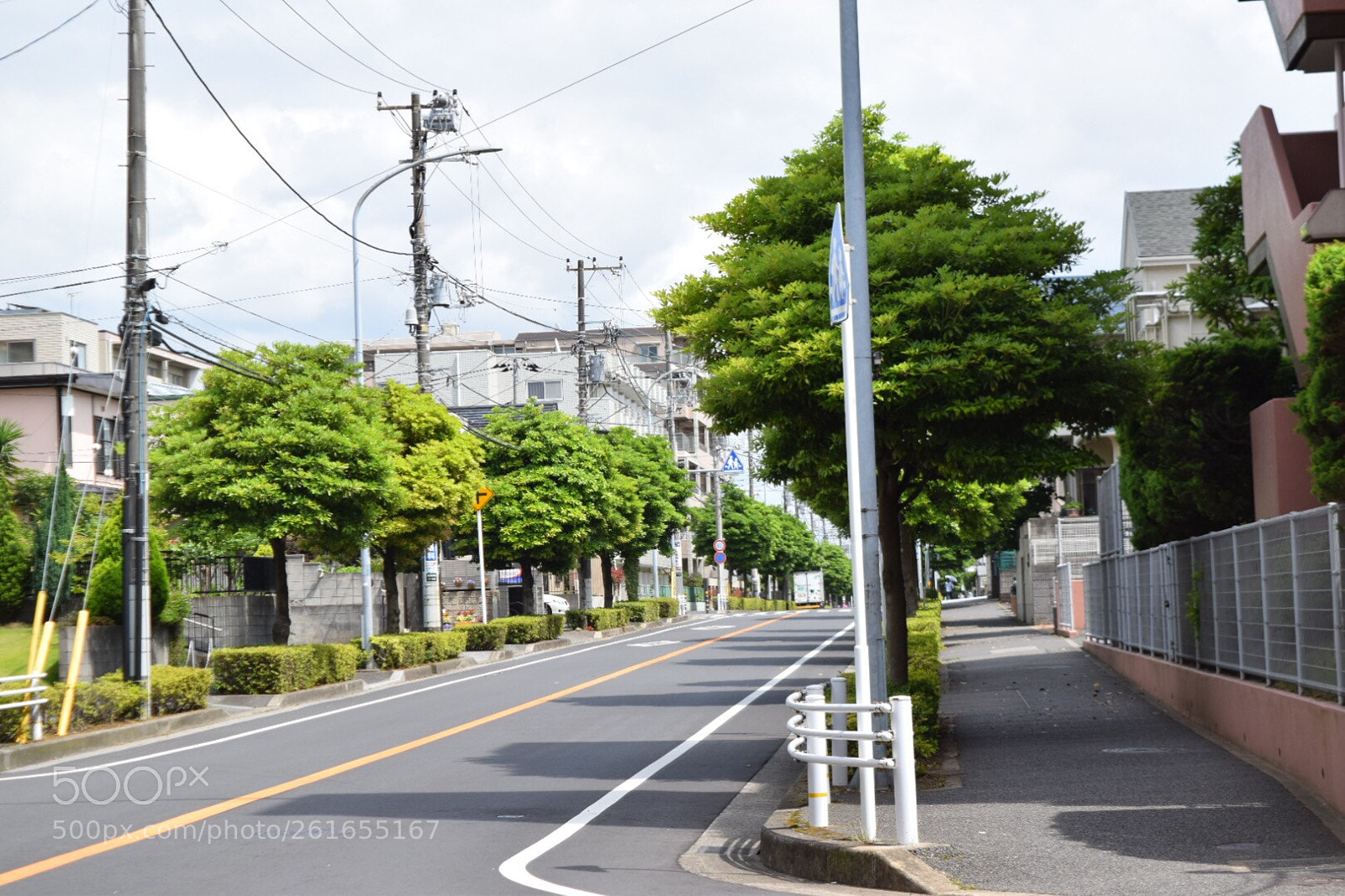 Nikon D5300 sample photo. Untitled photography