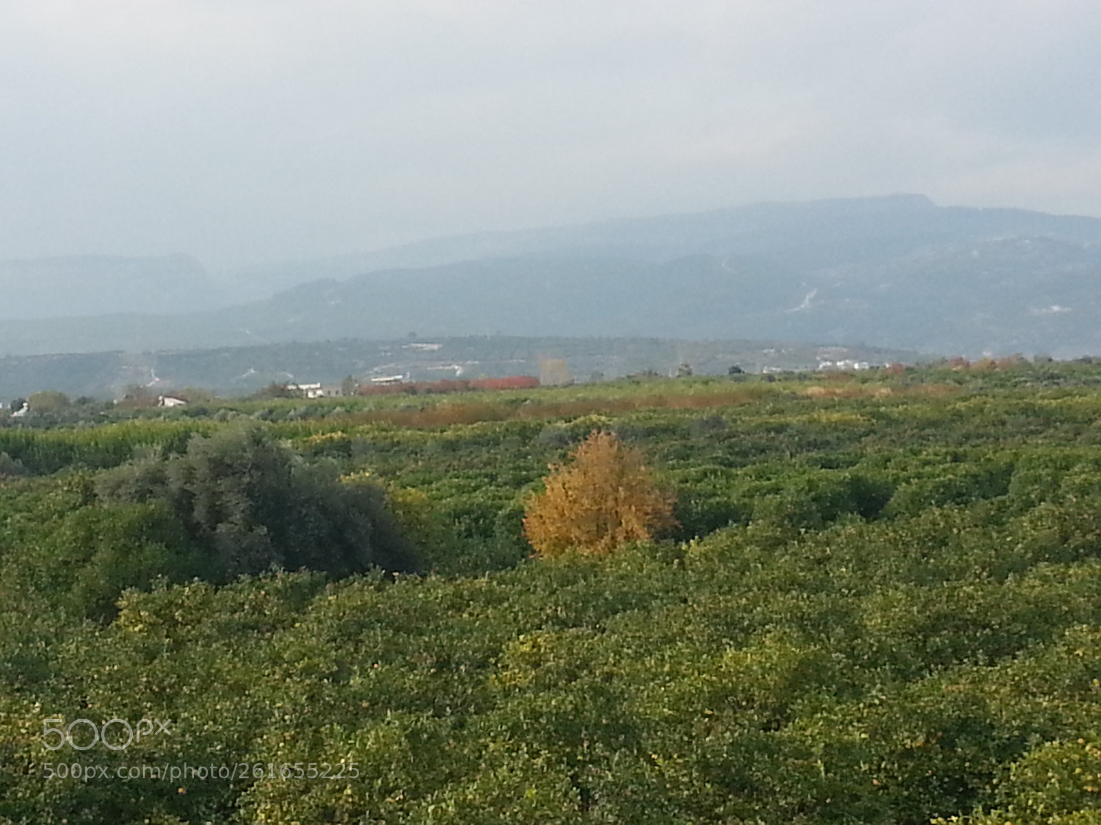 Samsung Galaxy S3 sample photo. 20171210_140938.jpg photography