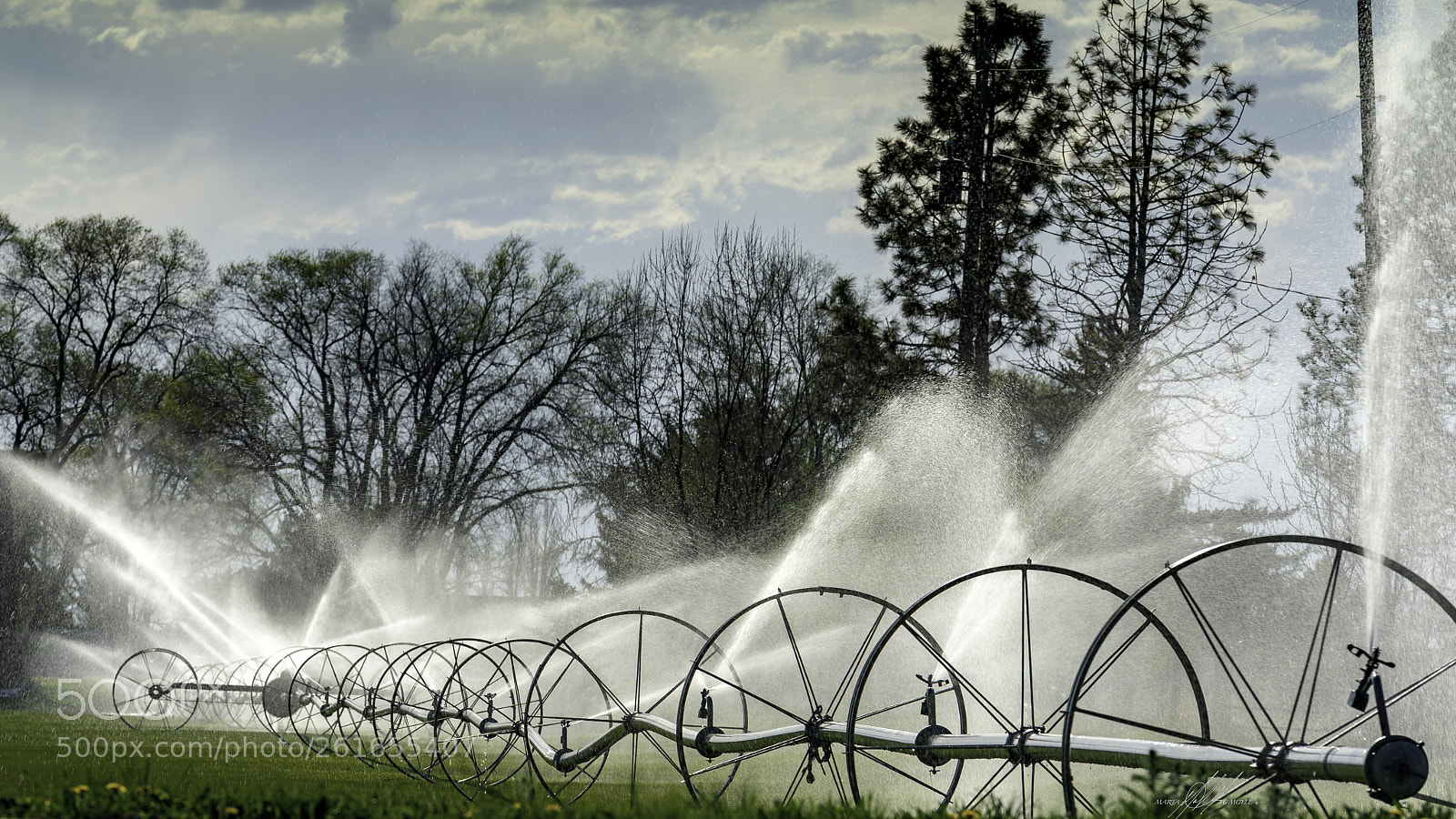 Sony a9 sample photo. Idaho our farm photography
