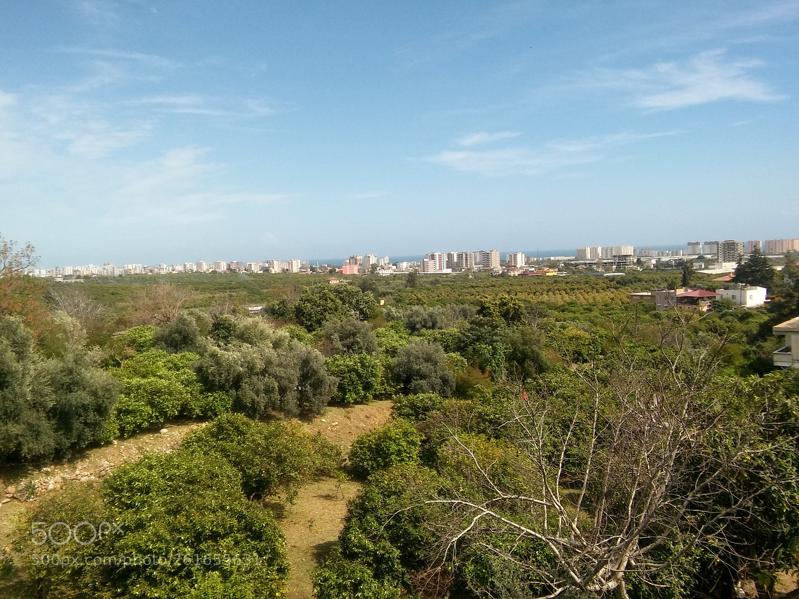 LG G4 BEAT sample photo. Hdr photography