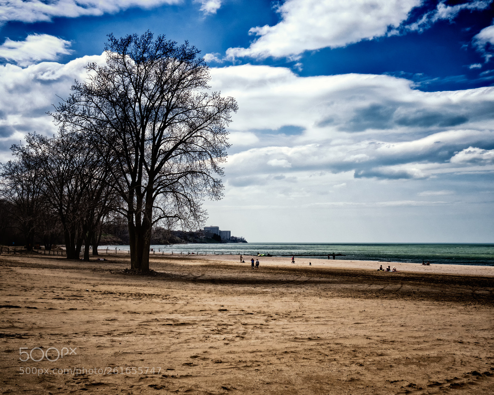 Olympus PEN-F sample photo. Spring day at the photography