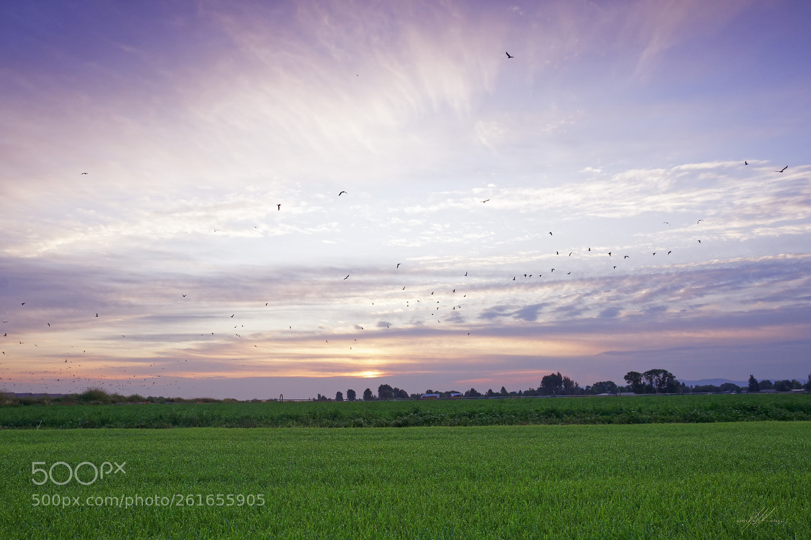Sony a9 sample photo. Idaho our farm they photography