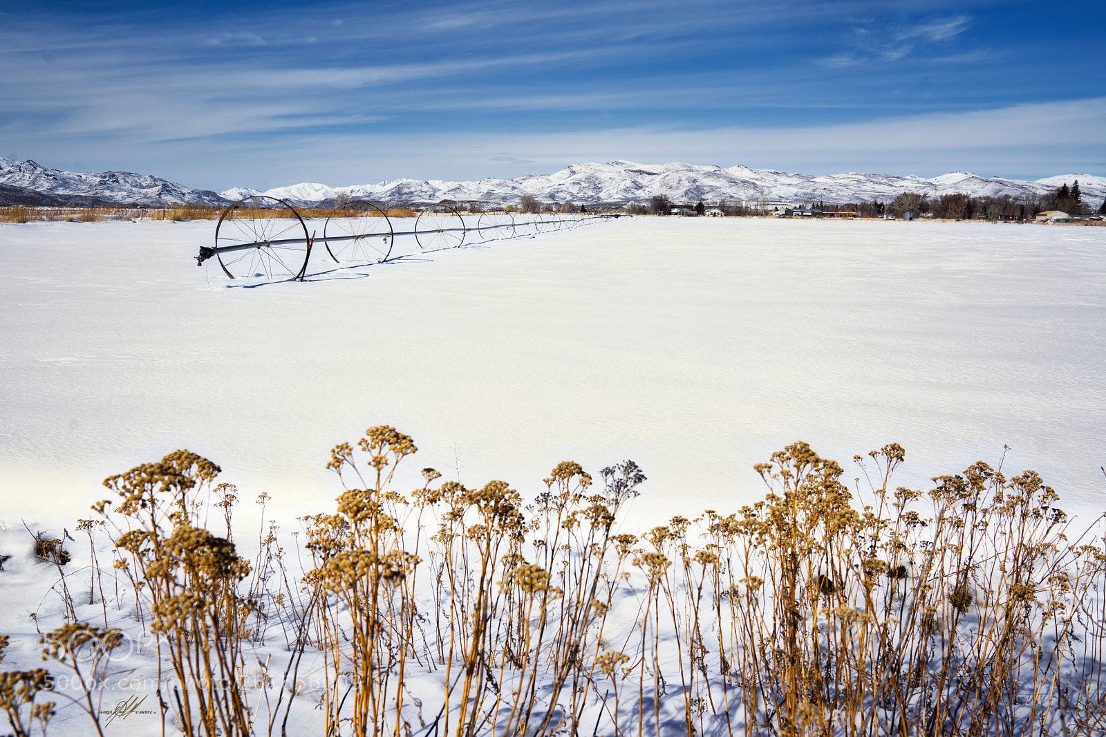 Sony a9 sample photo. Idaho carey fields under photography