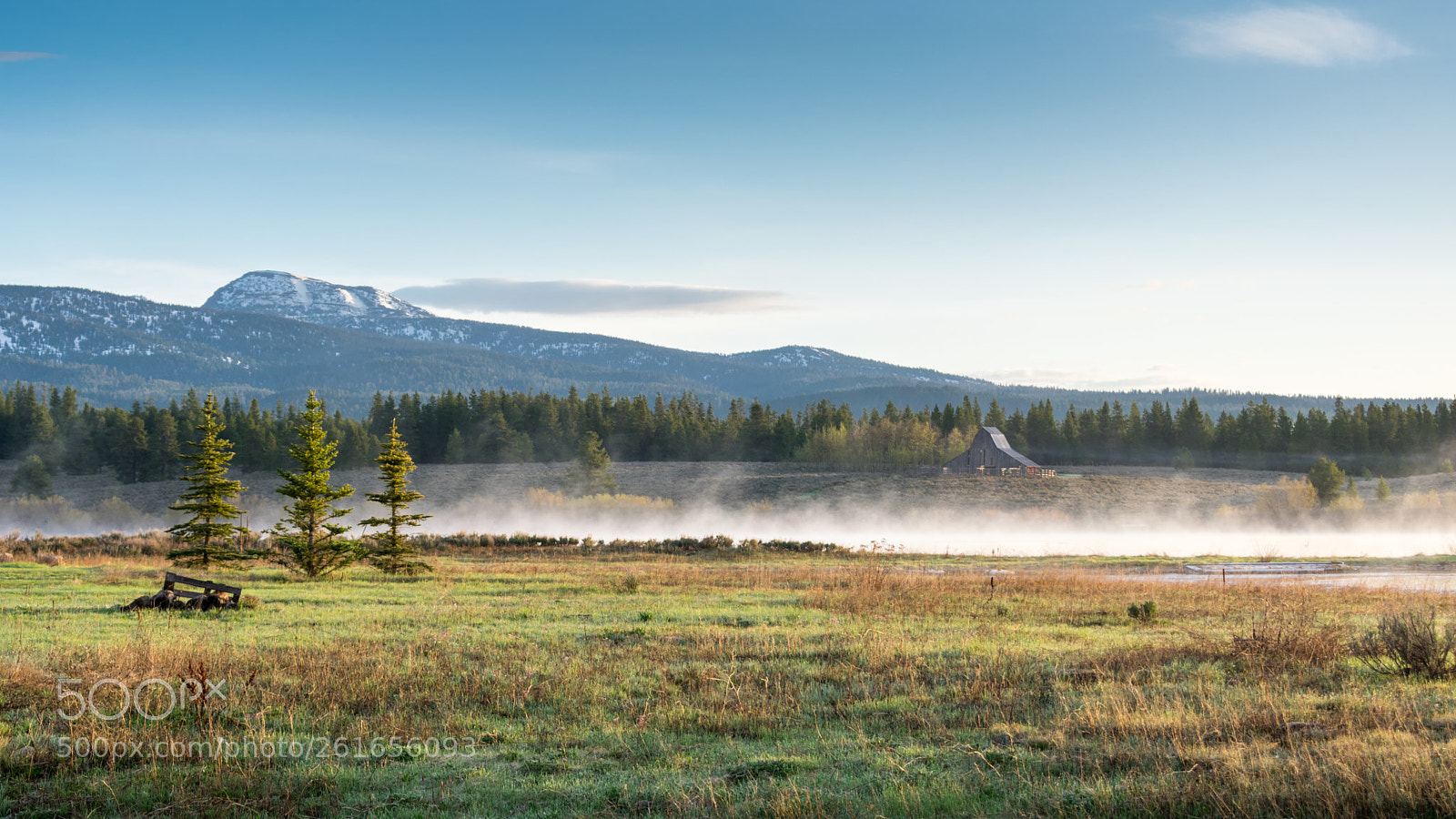 Nikon D3400 sample photo. Foggy idaho morning photography