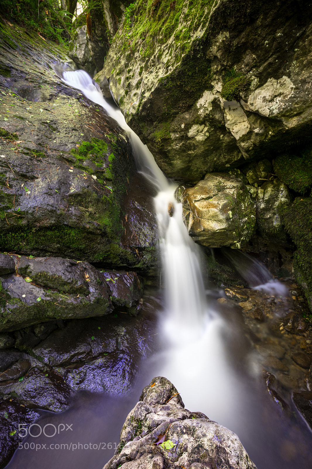 Sony a7 II sample photo. Lizarrusti photography