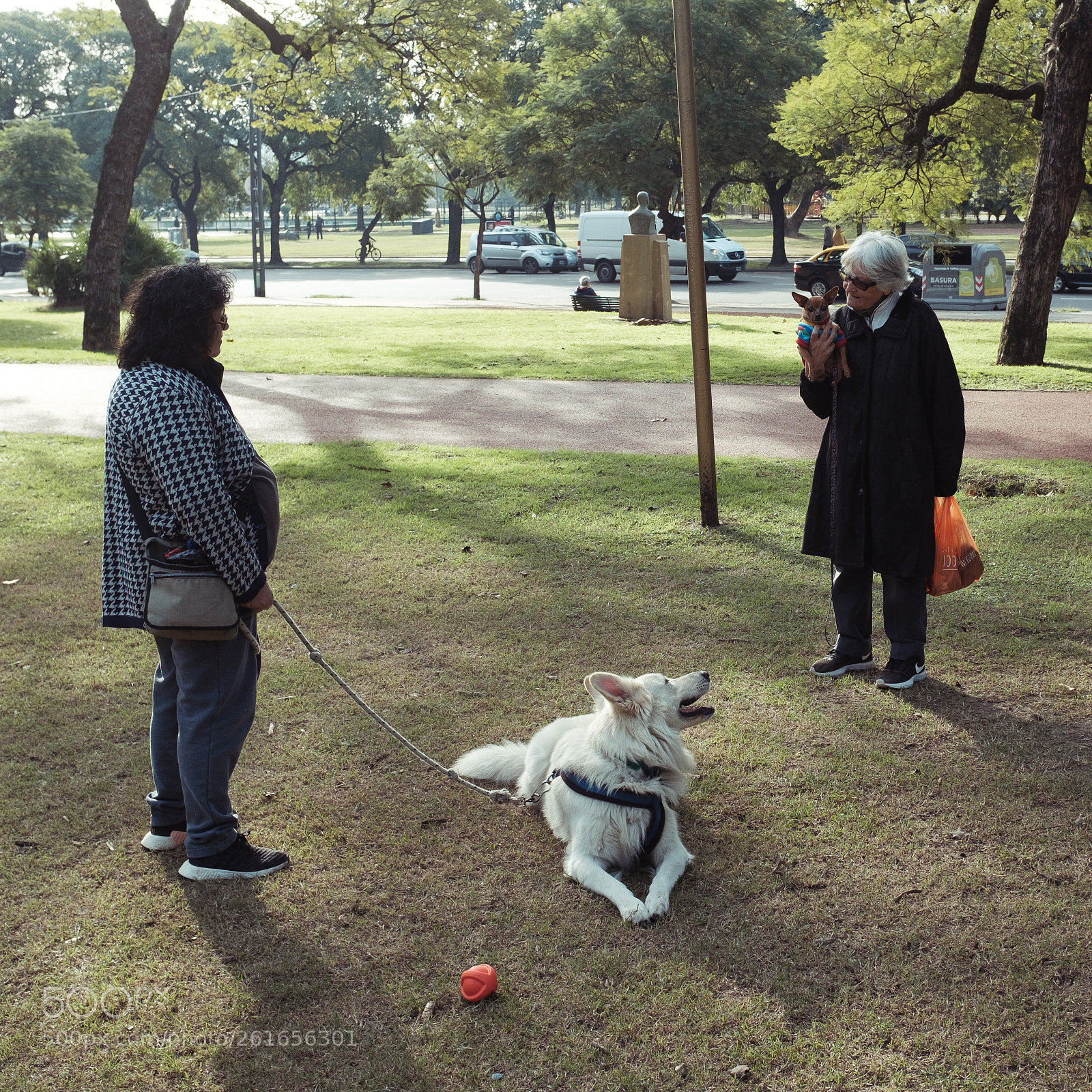Fujifilm X100F sample photo. Middle lady with big photography