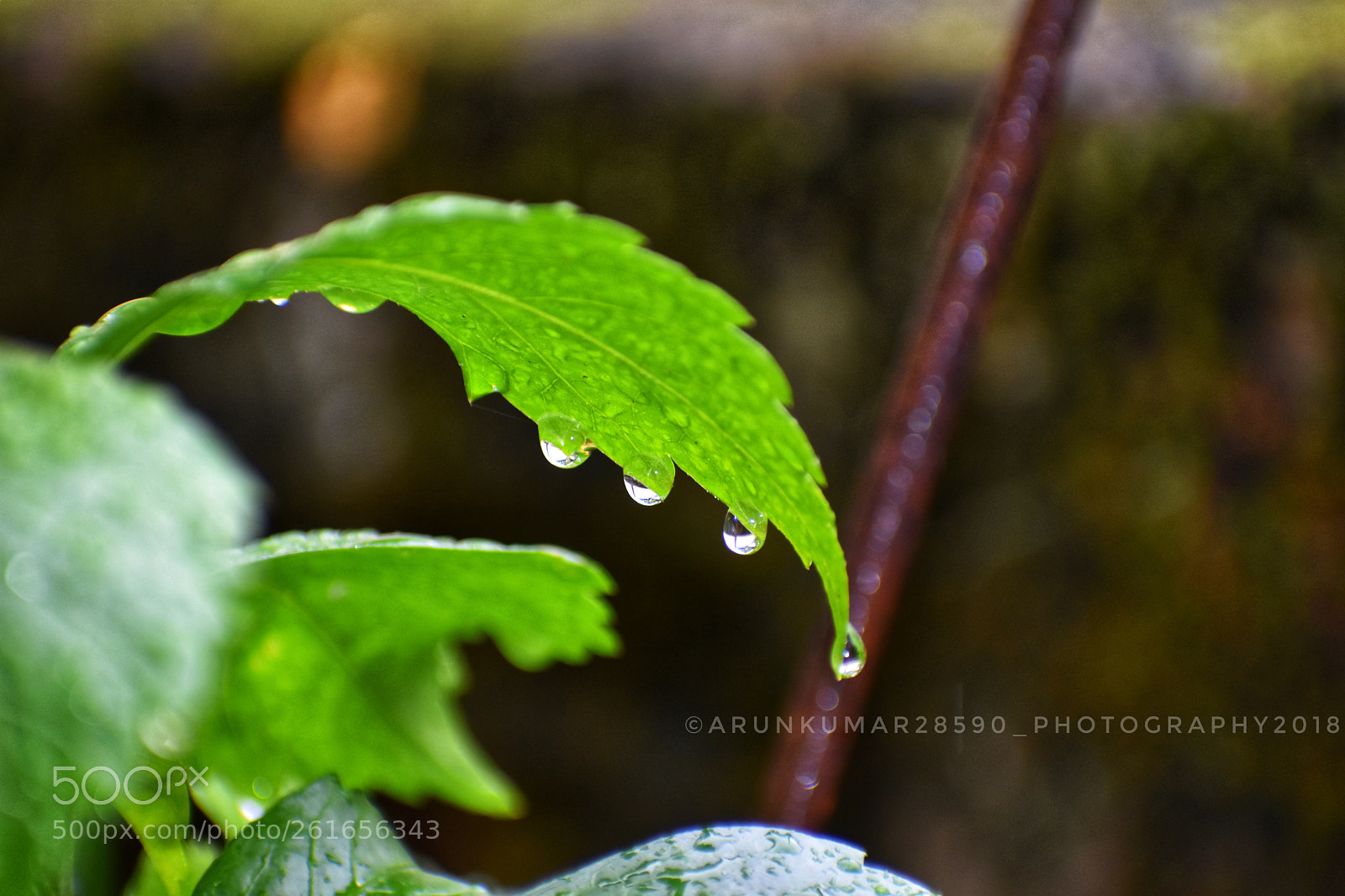 Nikon D3400 sample photo. Untitled photography
