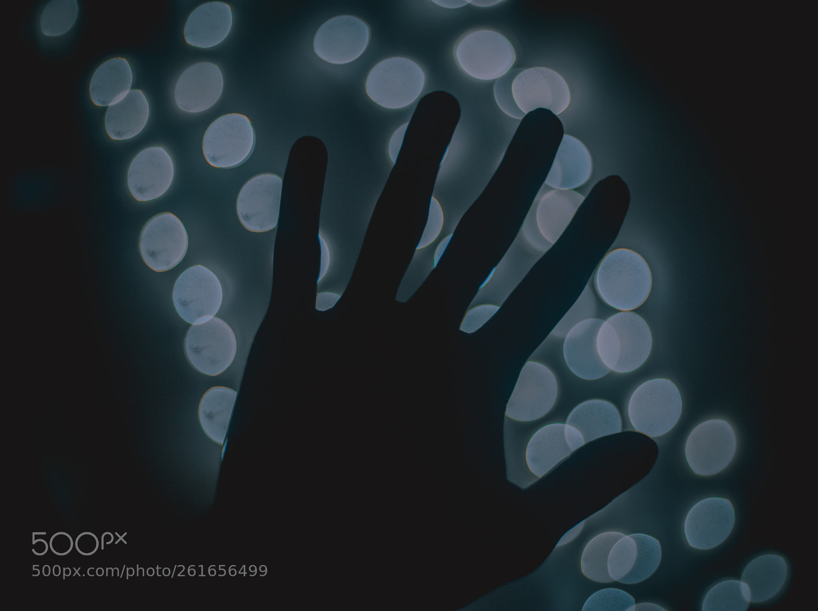 Canon EOS 6D sample photo. Cold hand photography