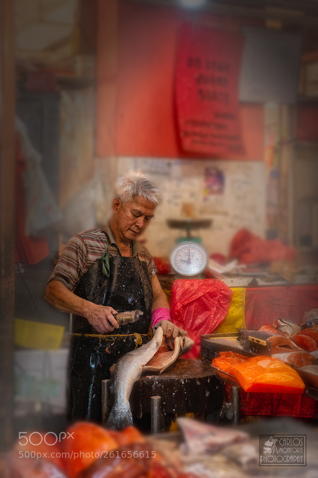 Canon EOS 70D sample photo. The fish merchant photography