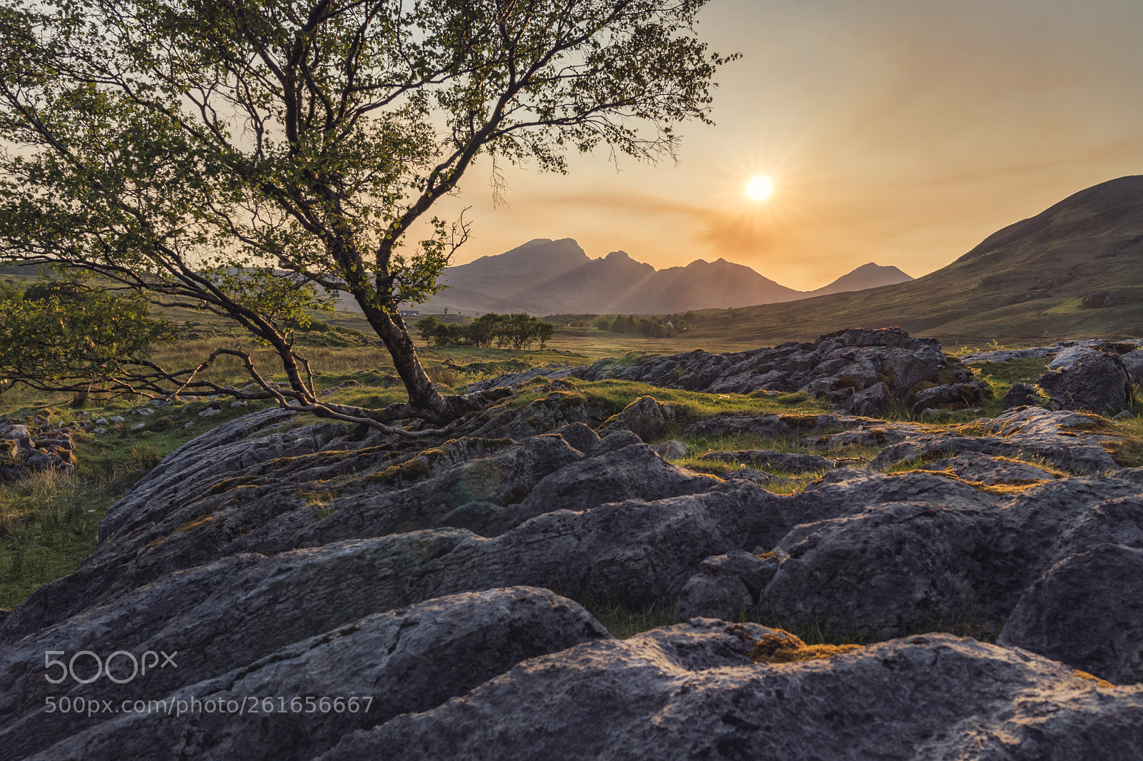 Sony a7 II sample photo. The misty island photography