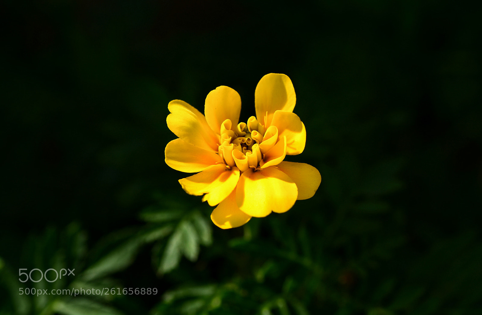 Nikon D7100 sample photo. Untitled photography