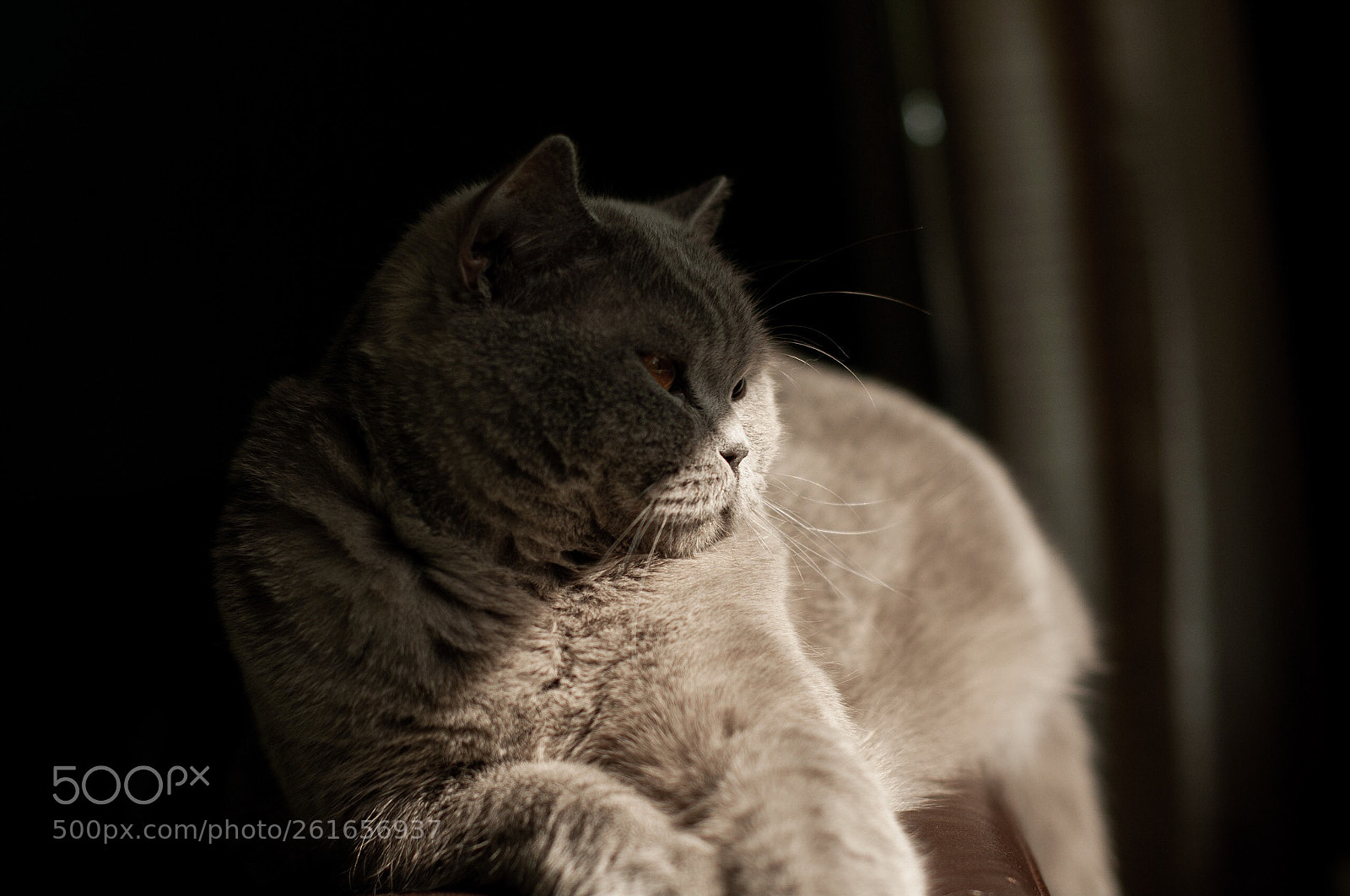 Nikon D300S sample photo. Untitled photography