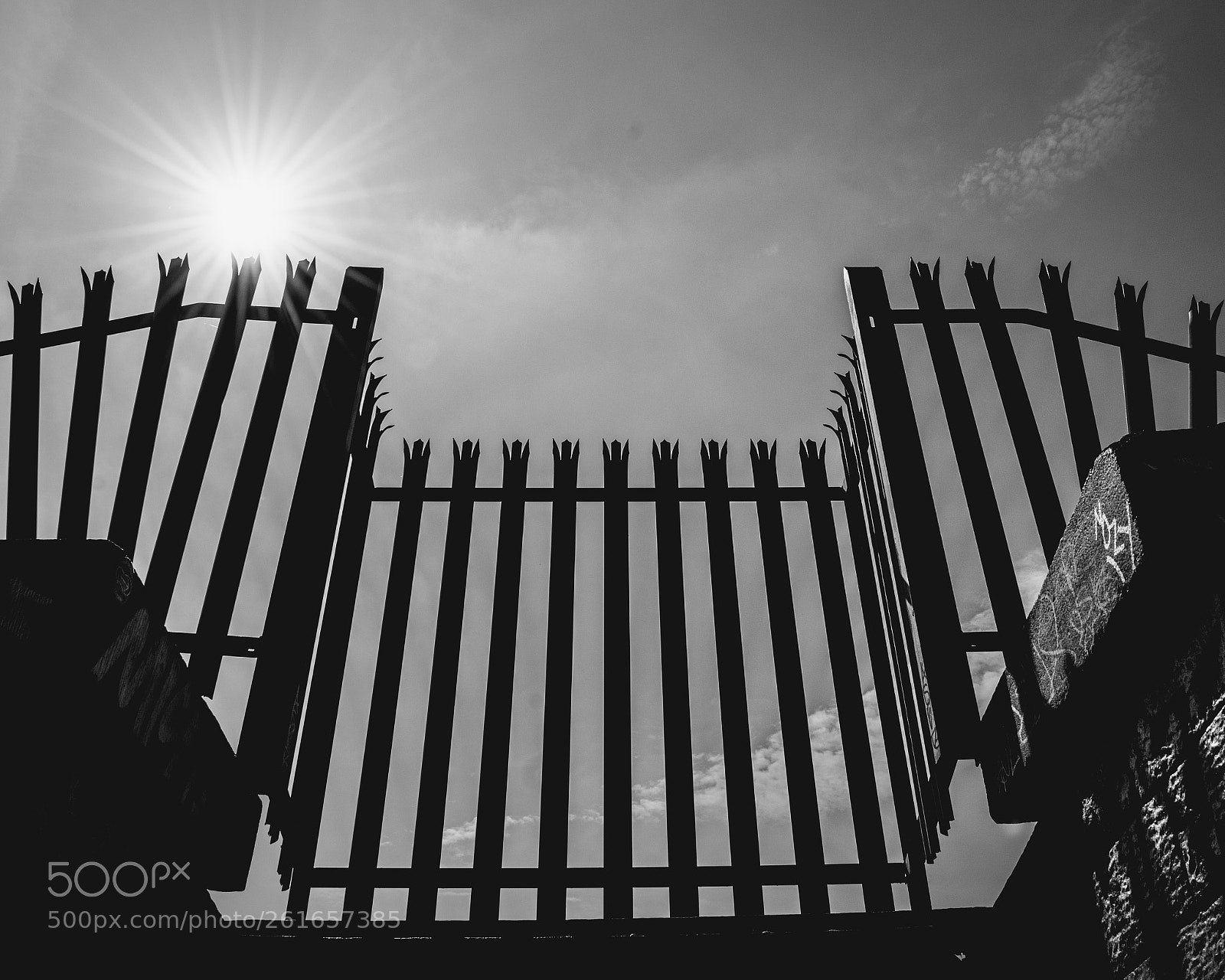 Nikon D3300 sample photo. Untitled photography
