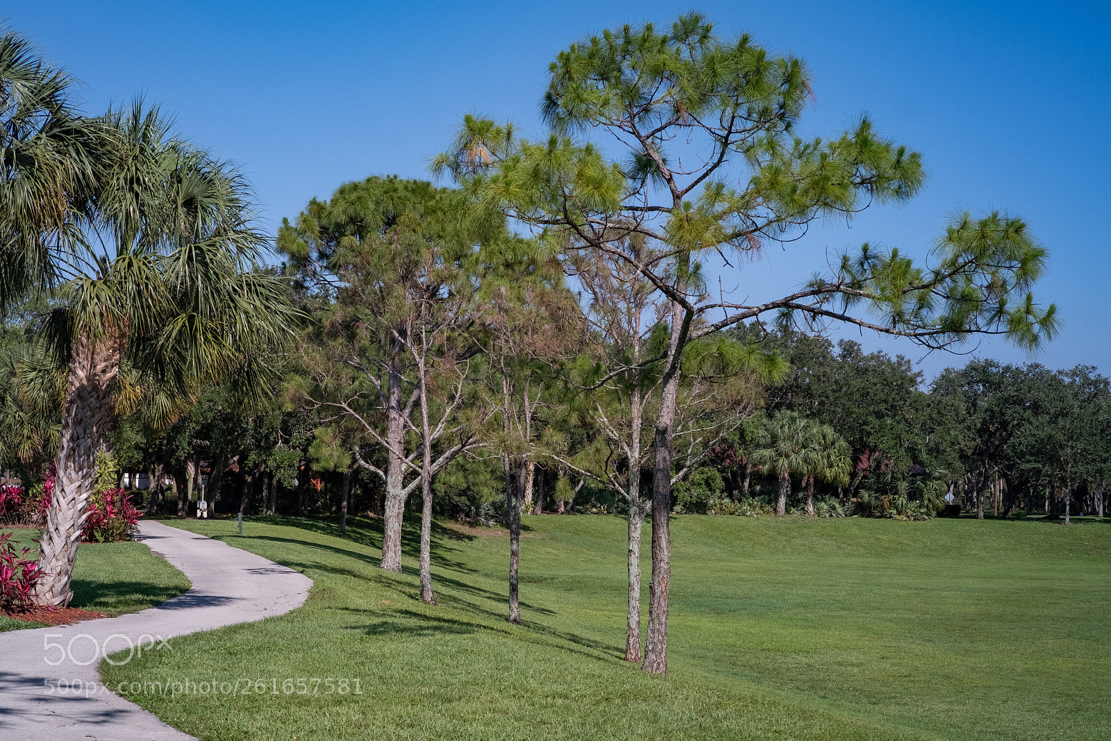 Fujifilm X-H1 sample photo. Fort lauderdale, fl photography
